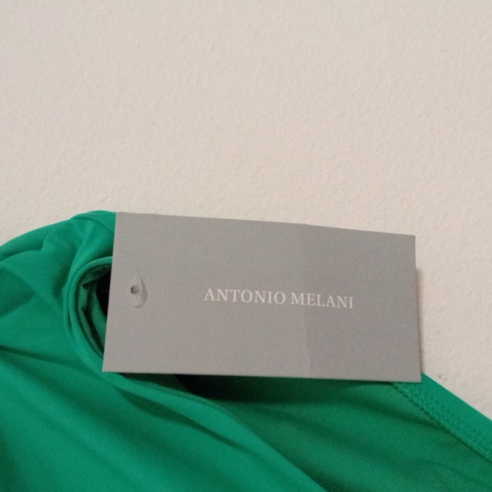 Spectacular BNWT Antonio Melani high waist swim bottom - Picture 2 of 4